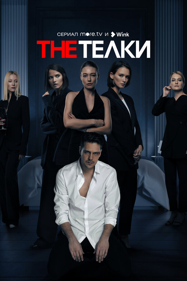 The Телки - постер